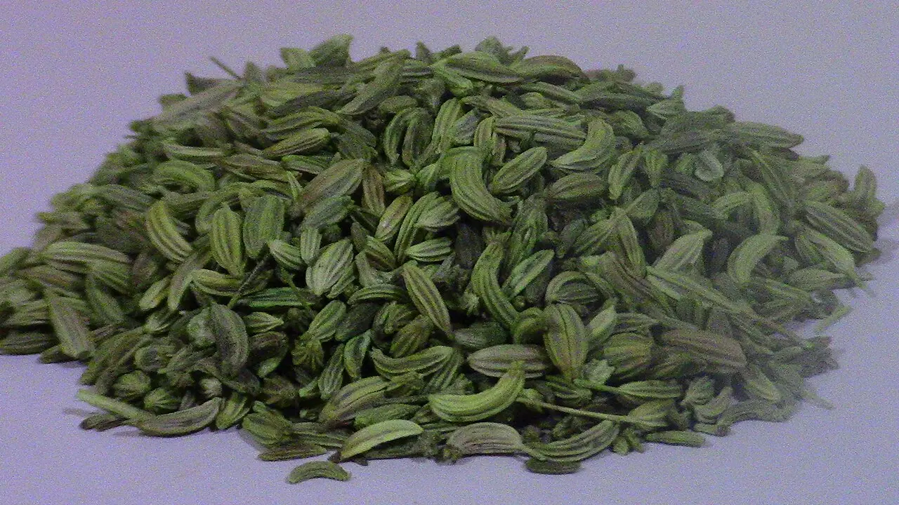 pile of green ridged fennel seeds on plain surface