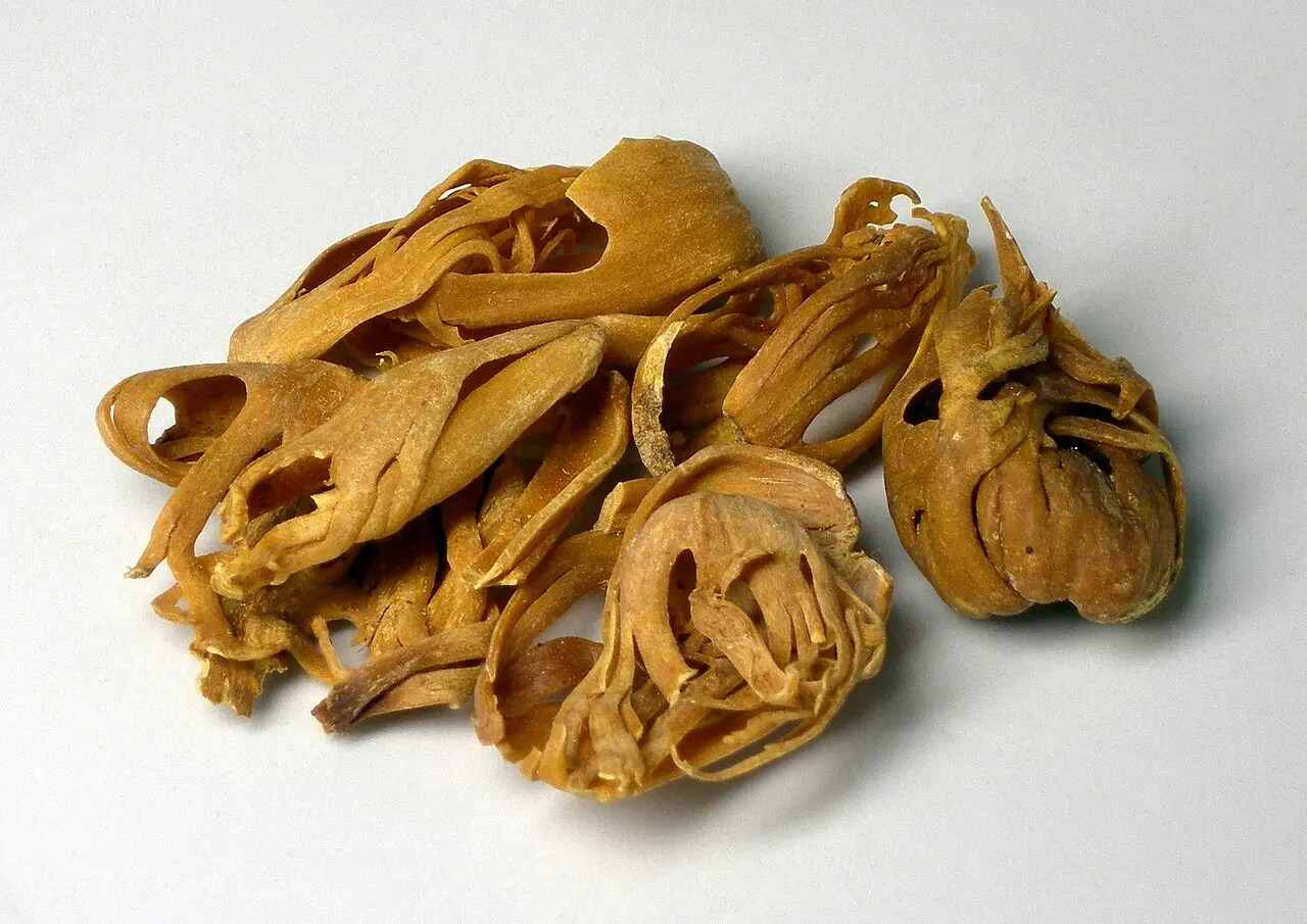 heap of dried mace blades on white background