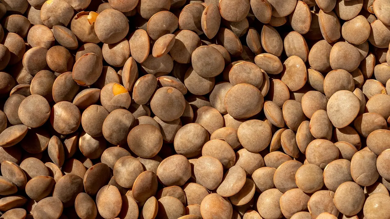Close-up of whole brown masoor lentils filling frame