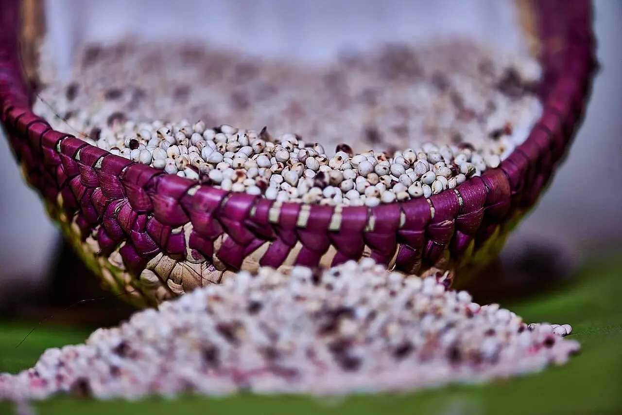 Basket and spilled pale grains, close-up
